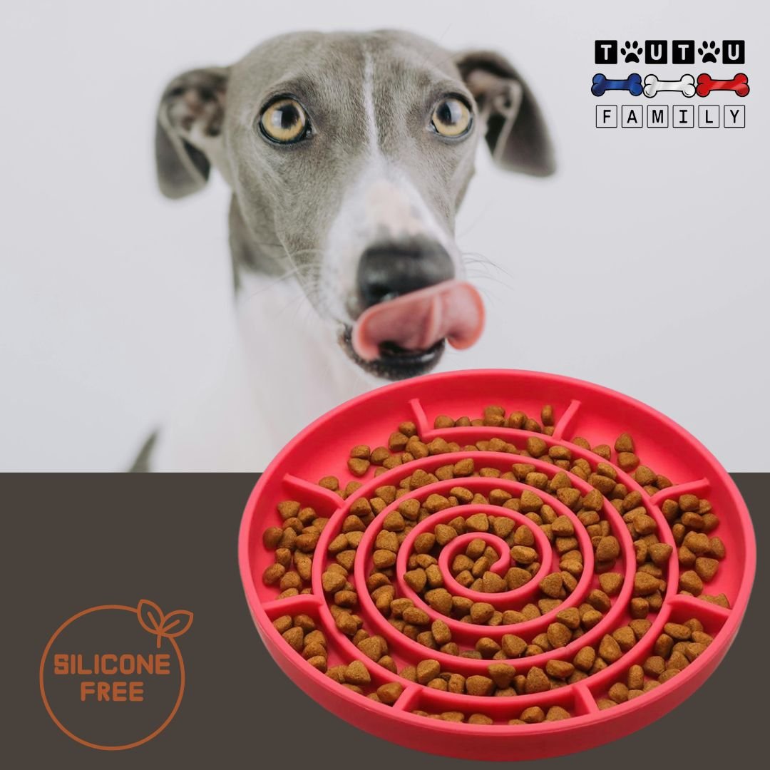 Gamelle-chien-anti-glouton-spirale-rouge-un-chien-de-grande-taille-qui-se-lĂšche-les-babines-devant-la-gamelle-labyrinthe-anti-glouton-qui-ralentit-l-ingestion-des-aliments-pour-une-meilleur-digestion