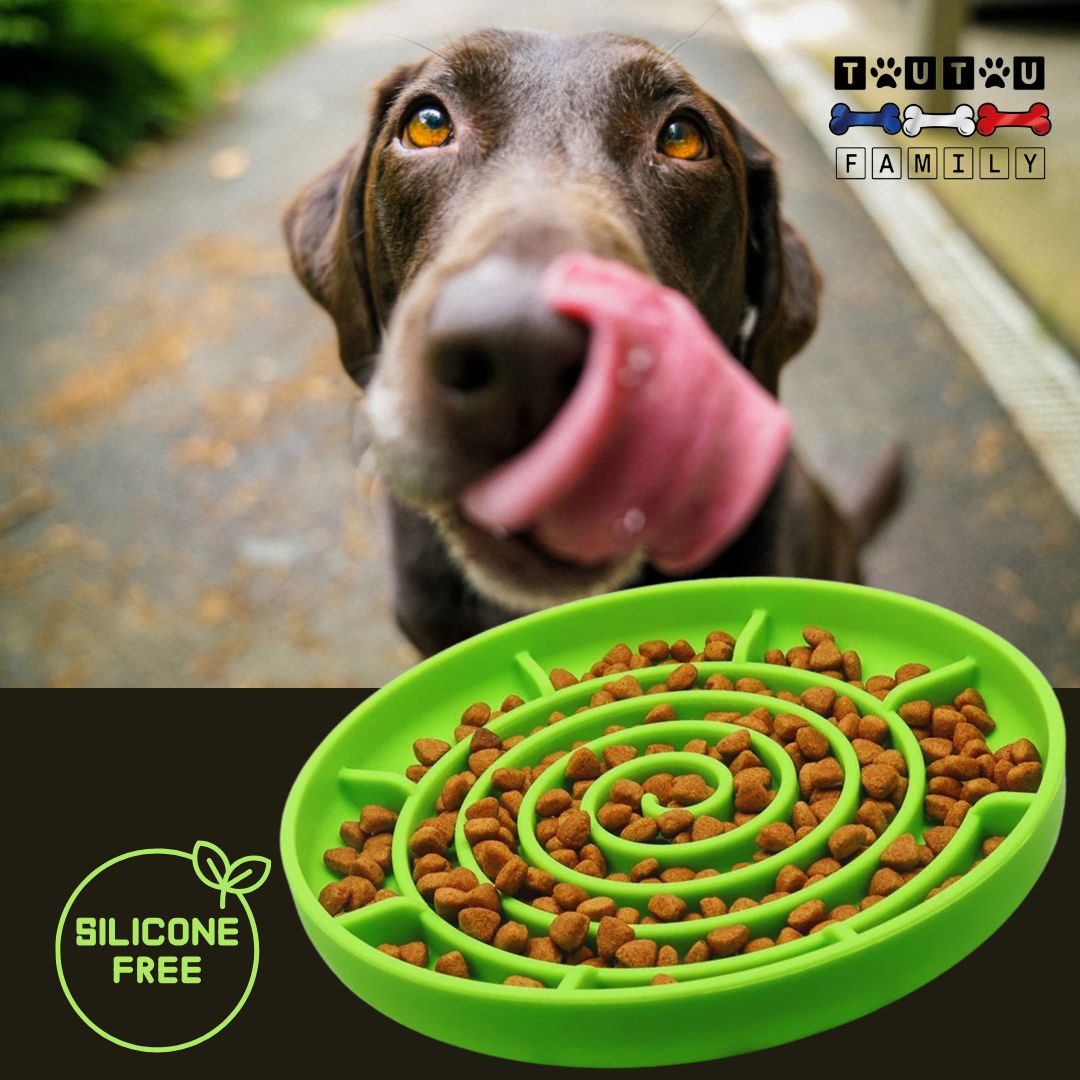 Gamelle-chien-anti-glouton-spirale-vert-un-labrador-qui-se-lĂšchent-les-babines-devant-la-gamelle-anti-glouton-pour-alimentation-sĂšche-ou-humides-lavable-au-lave-vaisselle
