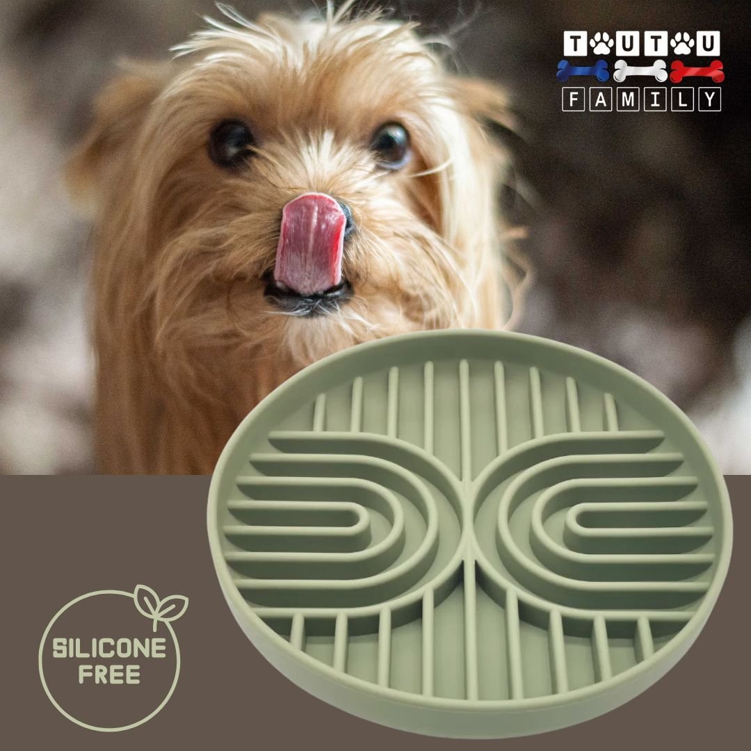 Gamelle-chien-anti-glouton-silicone-vert-un-yorkshire-qui-se-lĂšche-les-babine-avec-la-gamelle-anti-glouton-chien-lavable-au-lave-vaisselle-sans-produits-toxiques