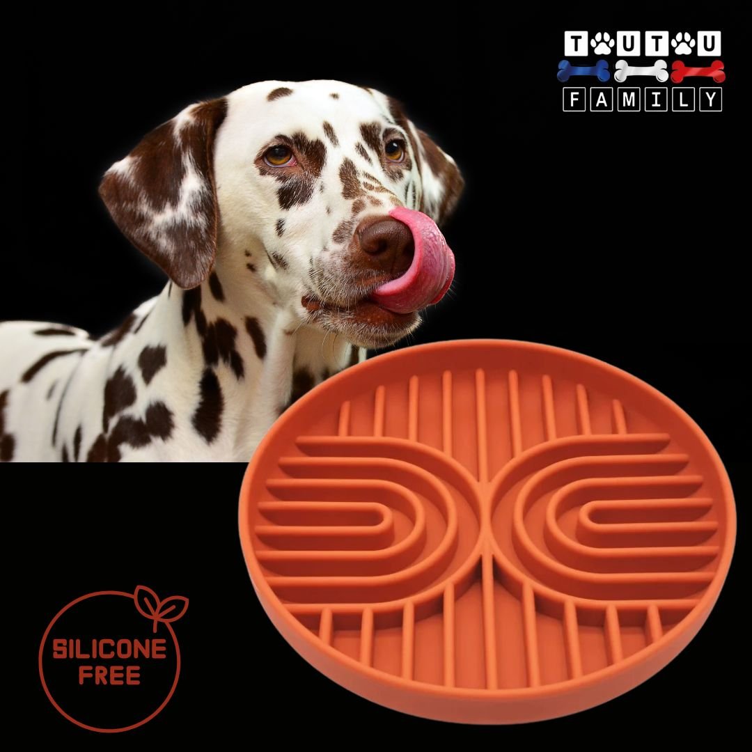 Gamelle-chien-anti-glouton-rouge-un-dalmatien-qui-se-lĂšche-le-babine-avec-sa-gamelle-anti-glouton