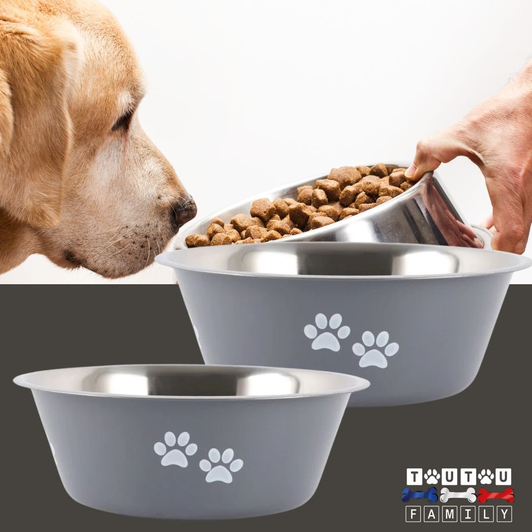 gamelle-chien-inox-2-gamelles-grises_400ml-800ml-1,5L-2L