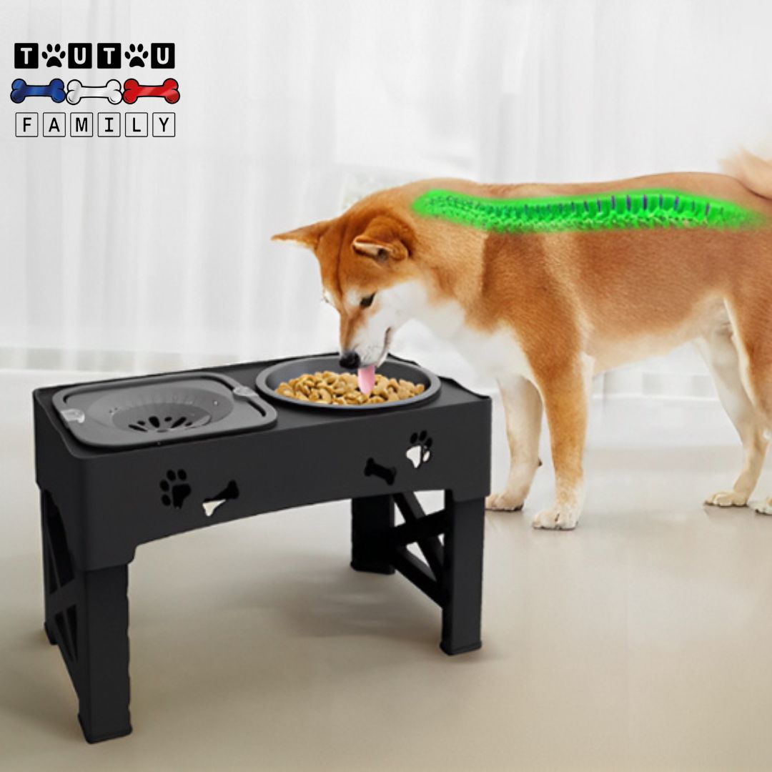 Gamelle-chien-surelevee-5-hauteurs-reglables-gamelle-eau-anti-eclaboussure-idéale-pour-es-chiens-de-grande-taille-et-glouton-avec-sa-gamelle-d-alimentation-lente-et-sa-gamelle-d-eau-anti-éclaboussure-pour-garder-les-sols-propre