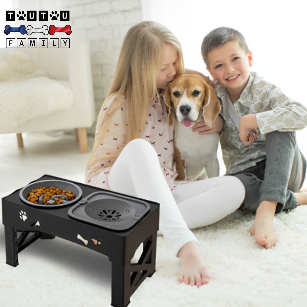 Gamelle-chien-surelevee-gamelle-anti-glouton-gamelle-anti-éclaboussure-un-chien-de-chasse-entouré-de-sa-famille-avec-la-gamelle-surélevée-qui-favorise-une-bonne-posture-et-garde-les-sols-et-la-maison-propre