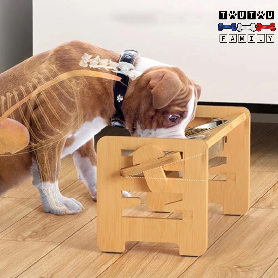 gamelle-chien-surélevée-pliable-réglable-3-hauteurs-support-bambou-2-gamelles-inox-gamelles-en-hauteur-chien