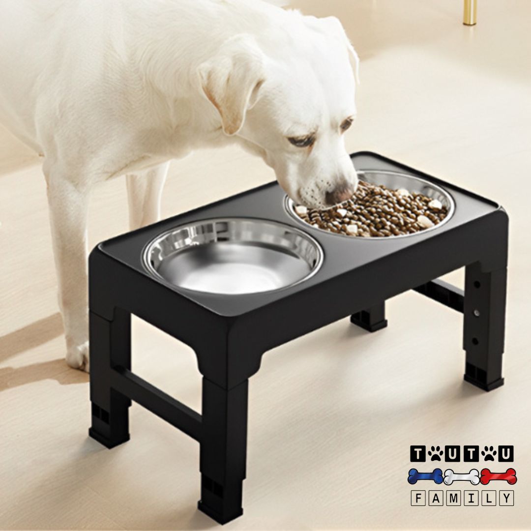 Gamelle-chien-surélevée-pliable-pour-grand-chien-un-chien-géant-qui-boit-dans-sa-gamelle-double-surélevées-pliable-transportable-nomade-pour-les-petits-espaces-ou-en-voyage-camping