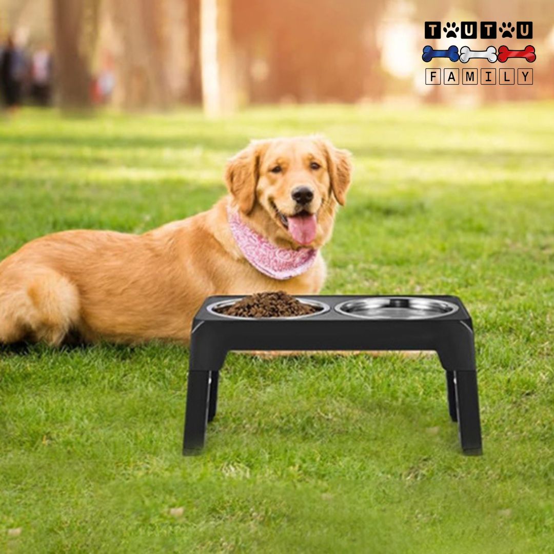 Gamelle-chien-surélevée-pliable-pour-très-grand-chien-gamelles-inox-camping-voyage-intérieur-extérieur-un-chien-de-grande-taille-allongée-à-côté-son-support-à-gamelle-double-au-parc