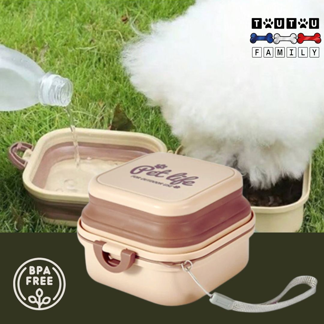 Gamelle-chien-2-en-1-gamelle-voyage-pliable-pour-petit-chien-marron-in-coton-de-tuléar-qui-mange-dans-la gamelle-double-pour-voyage-sur-la-pelouse-d-une-air-d-autoroute
