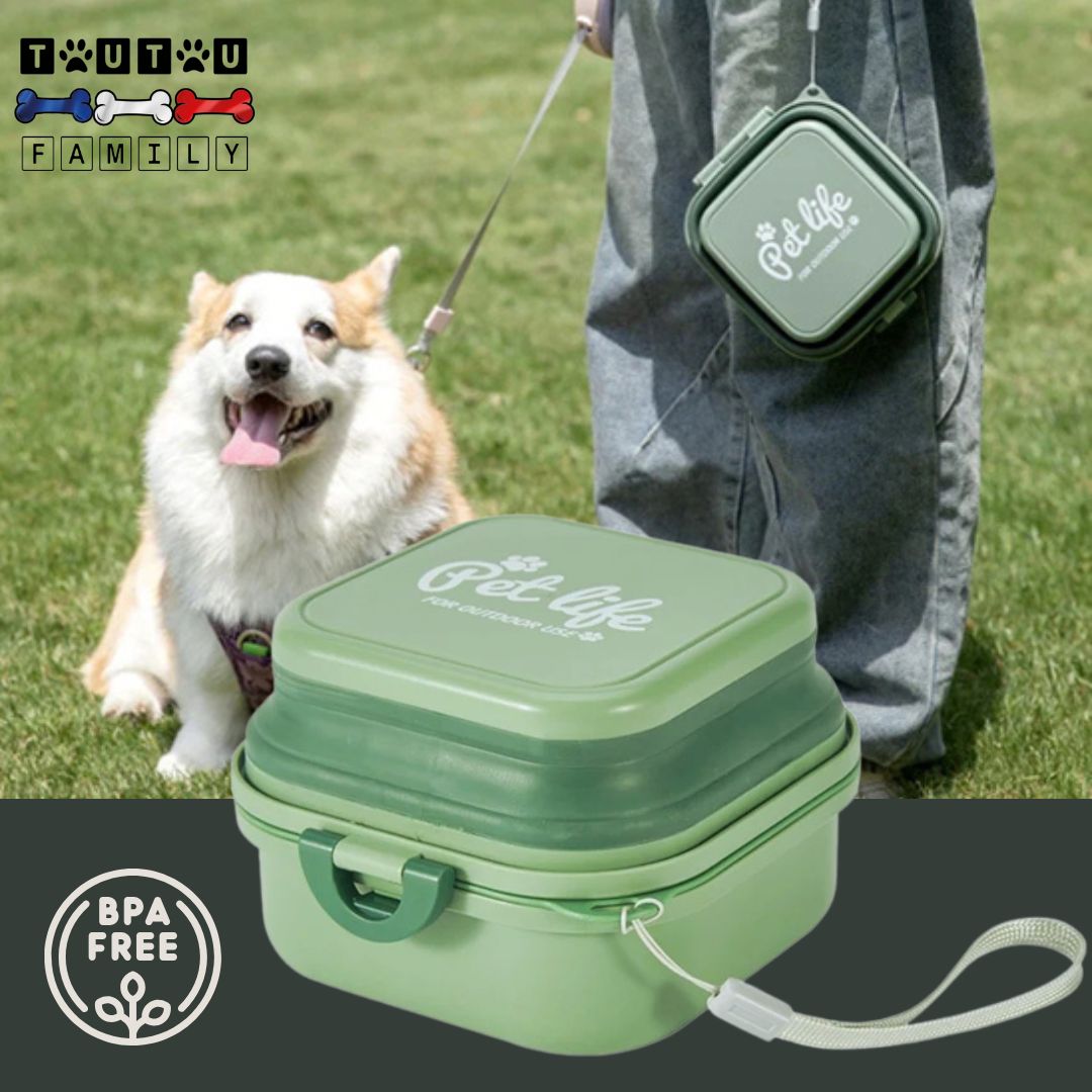 Gamelle-chien-2-en-1-gamelle-voyage-pliable-pour-petit-chien-vert-un-petit-chien-avec-son-maitre-qui-tient-sa-gamelle-design-par-la-sangle-en-sortie