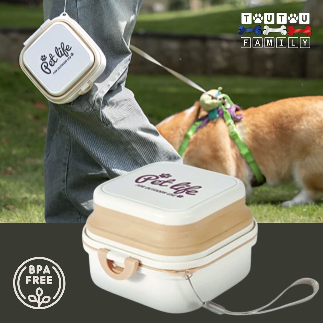Gamelle-chien-2-en-1-gamelle-voyage-pliable-pour-petit-chien-blanc-un-chien-et-son-maitre-qui-porte-la-gamelle-chien-pliable-par-la-sangle-en-promenade-dans-la-nature