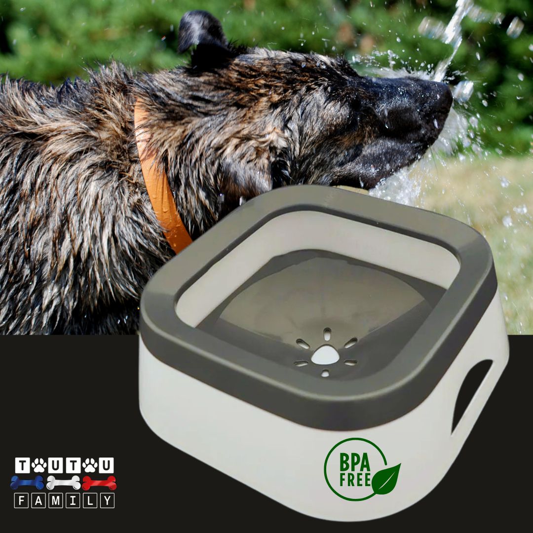 Gamelle d'eau pour chien anti Ă©claboussure - ImpecToutouâą