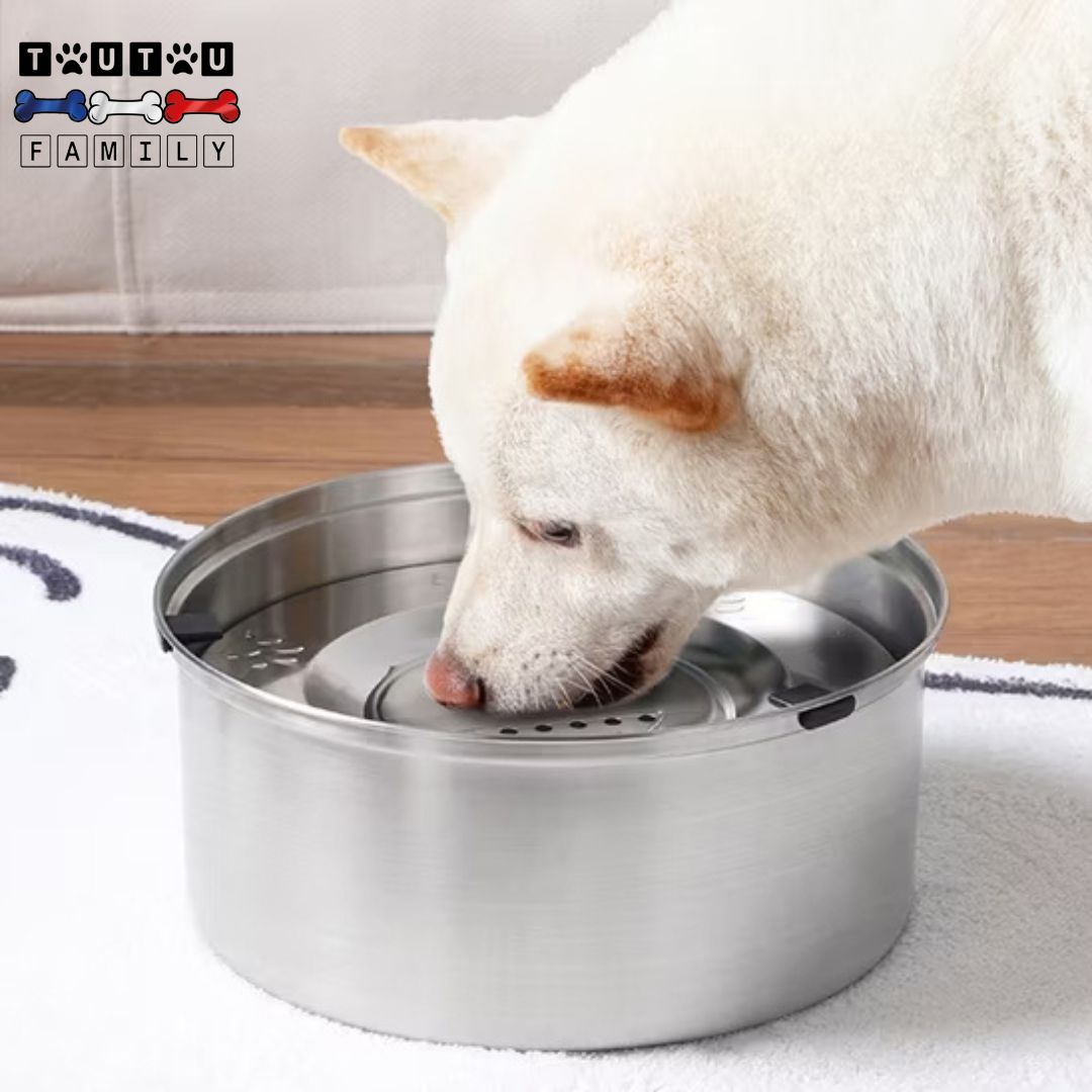 gamelle-eau-chien-anti-renversement-inox-portable-deux-capacité-disponible-3-litres-et-1-litre-idéal-pour-les-voyages-et-la-maison