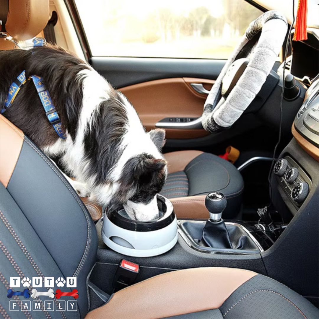 Gamelle-eau-chien-anti-renversement-gamelle-transport-voiture-un-grand-chien-qui-boit-dans-sa-gamelle-anti-bave-et-anti-éclaboussure-dans-la-voiture-gamelle-eau-qui-garde-les-siÚges-voiture