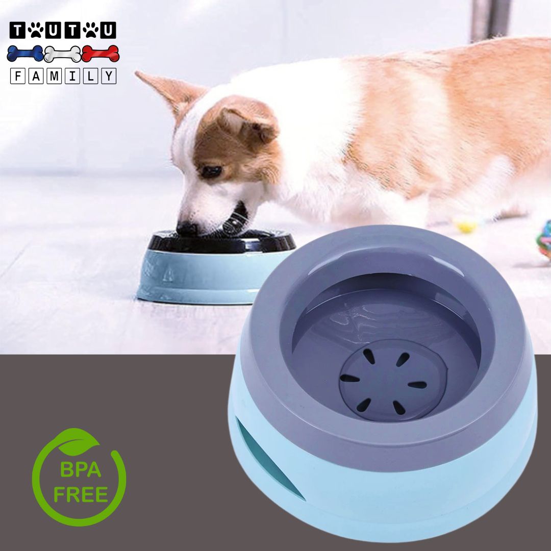 Gamelle-eau-chien-anti-renversement-gamelle-eau-anti-bave-chien-bleu-un-chien-sui-boit-proprement-dans-sa-gamelle-eau-anti-éclaboussure-lavable-en-lave-vaisselle