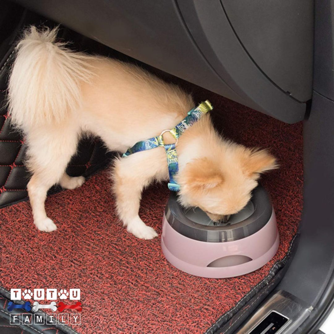 Gamelle-eau-chien-anti-renversement-gamelle-chiot-transport-voiture-matériau-testé-sans-produit-toxique-ultra-résistant-gamelle-chien-anti-choc-un-chien-qui-boit-dans-sa-gamelle-anti-bave-sur-le-plancher-de-la-voiture-qui-reste-sec