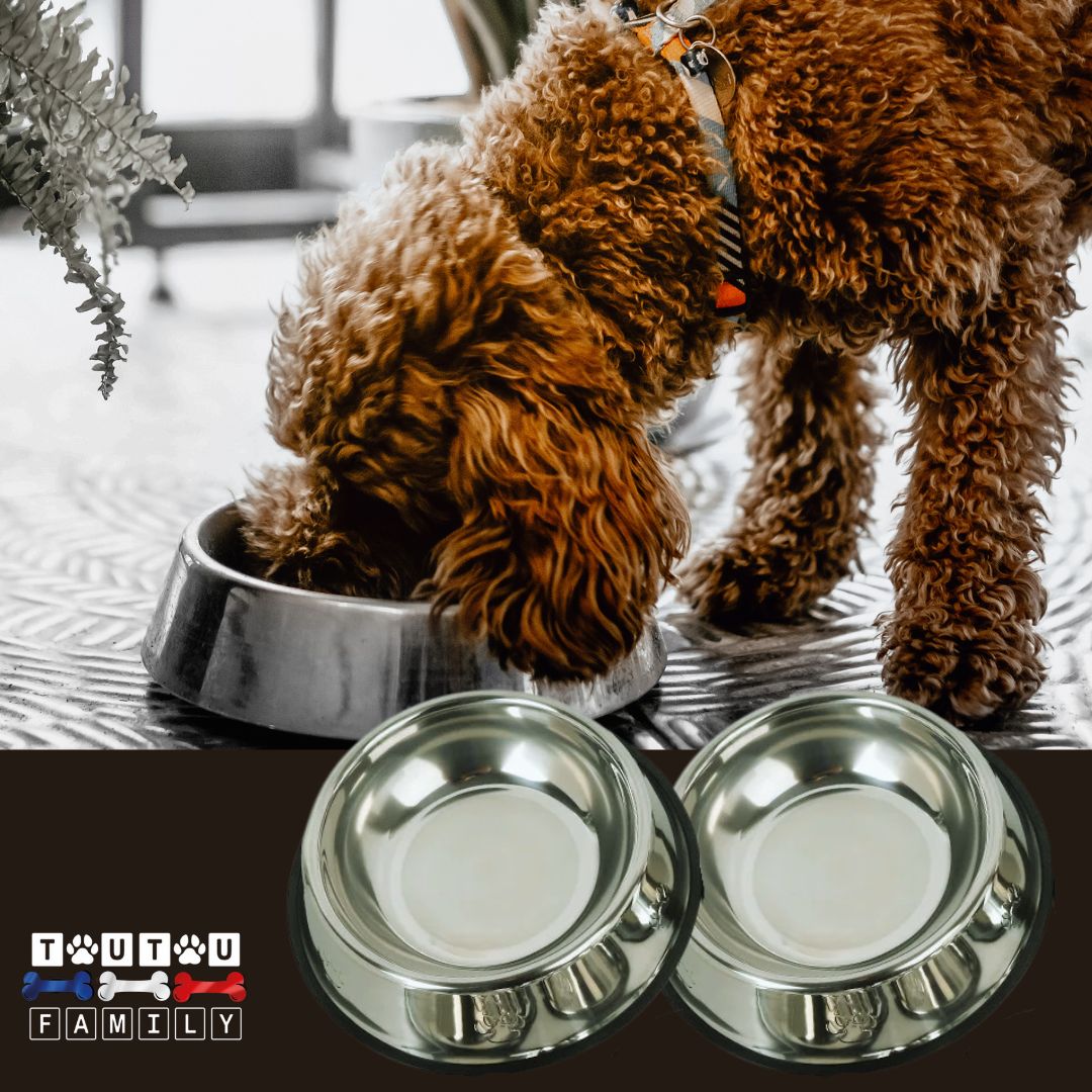 Gamelle-en-inox-pour-chien-lot-de-2-gamelle-pour-chien-de-taille-moyenne-330-ml-ou-grammes-caniche-qui-mange-dans-sa-gamelle-inoxydable-antidérapante