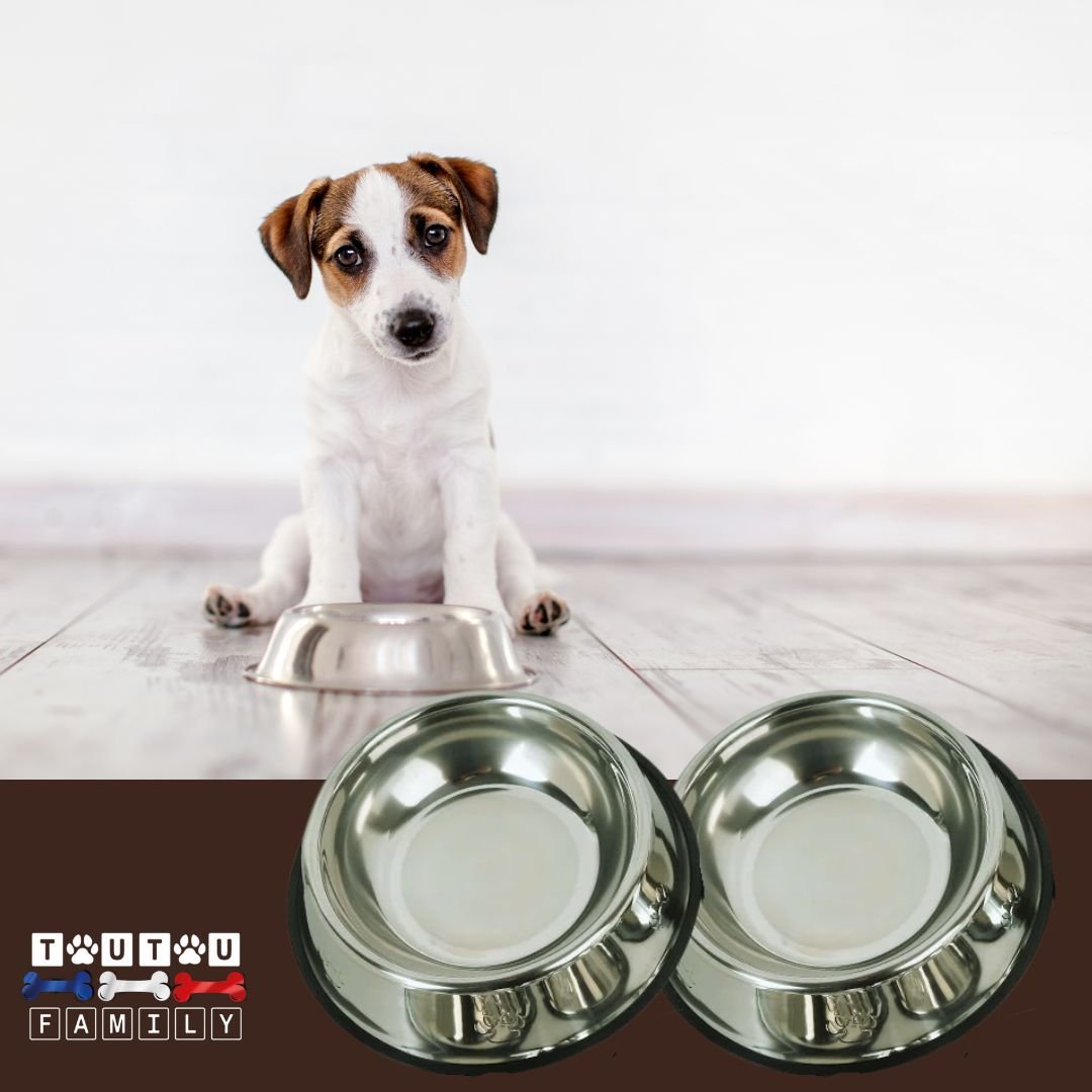 Gamelle-en-inox-pour-chien-lot-de-2-gamelle-pour-chien-toy-chiot-200-ml-ou-grammes-un-chiot-avec-ses-deux-gamelles-inoxydable-antdérapante