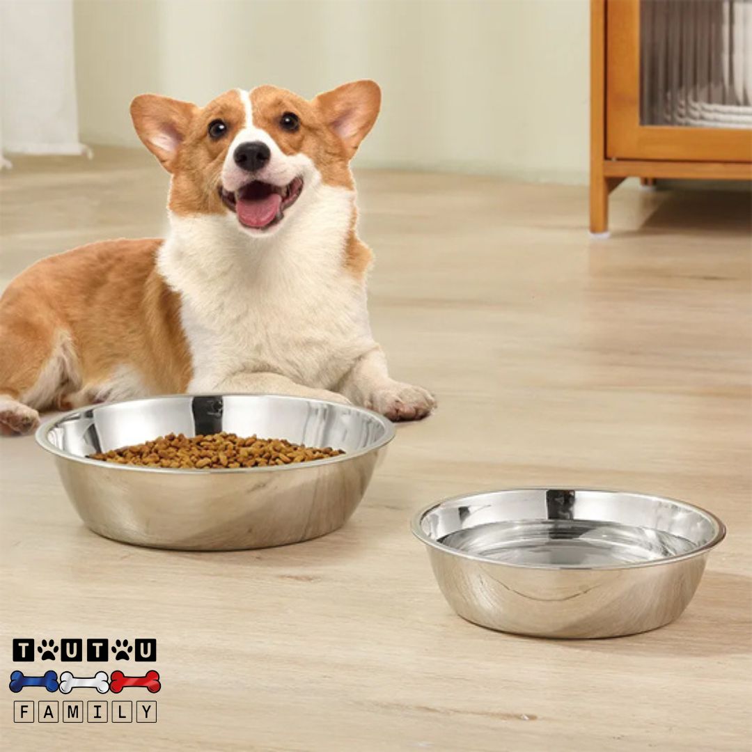 Gamelle-en-inox-pour-chien-lot-de-2-gamelles-chien-chiot-14-cm-17-cm-19-cm-en-inox-340-de-qualité-alimentaire-un-corgi-welsh-heureux-avec-gamelle-eau-et-gamelle-de-croquette