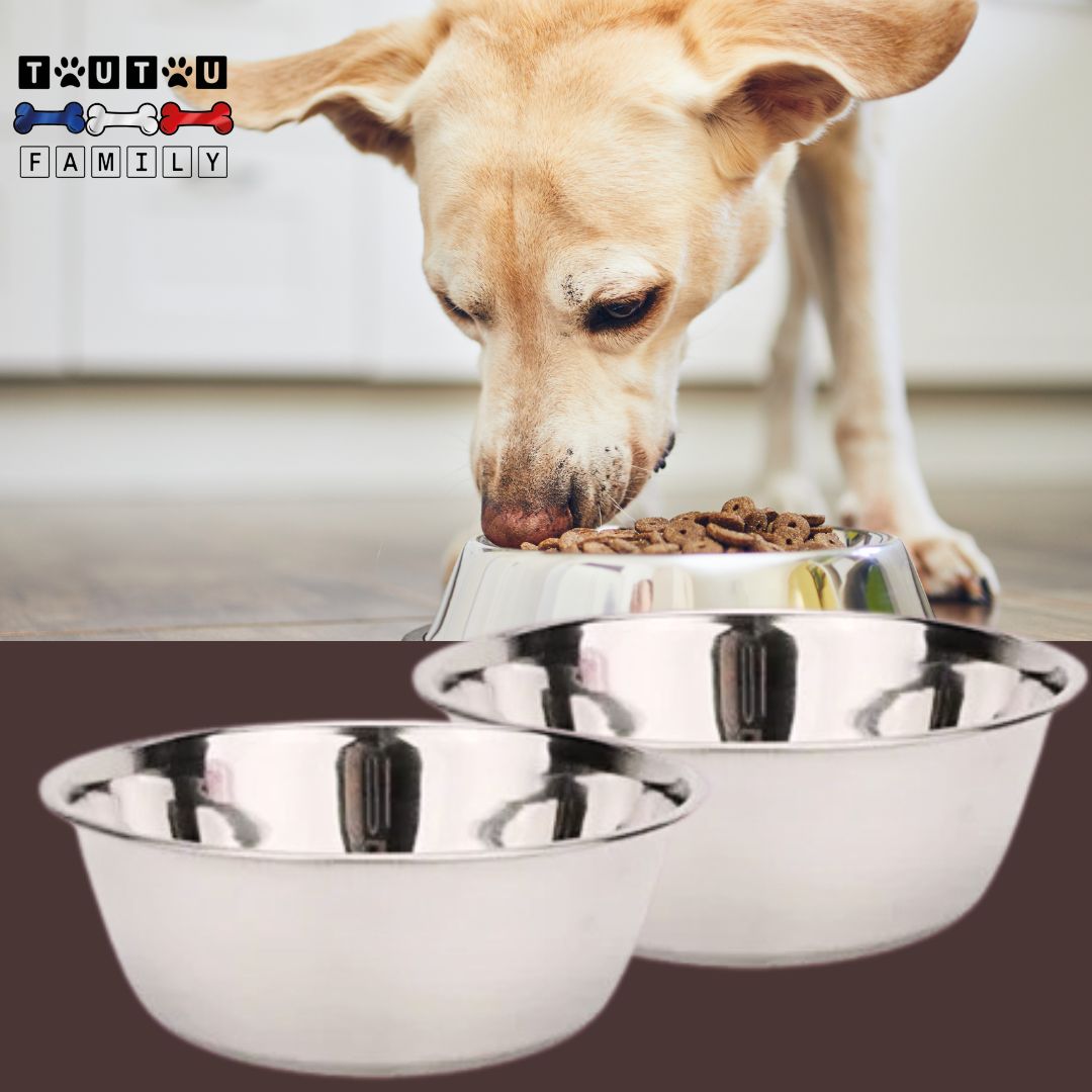 Gamelle-en-inox-pour-chien-lot-de-2-gamelles-chien-chiot-diametre-14-cm-pour-chien-toy-mini-chien-2-gamelle-de-17-cm-de-diamètre