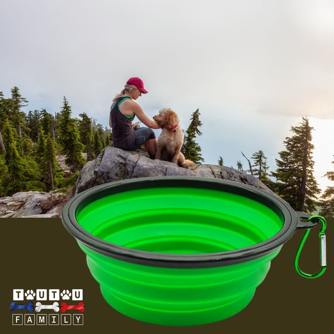 Gamelle-pliable-chien-avec-mousqueton-pour-voyage-silicone-vert-gamelle-de-voyage-chien