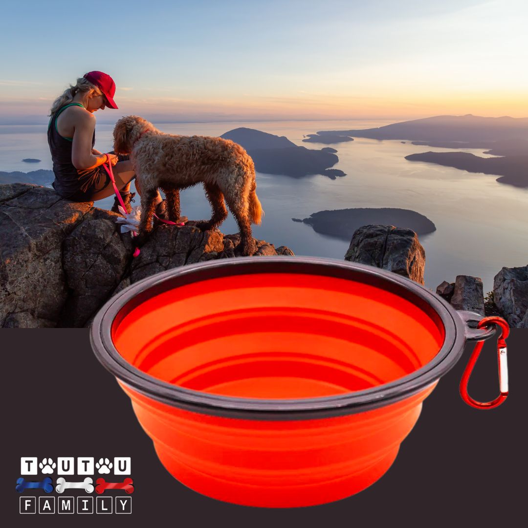 Gamelle-pliable-chien-avec-mousqueton-pour-voyage-silicone-rouge-gamelle-voyage-chien