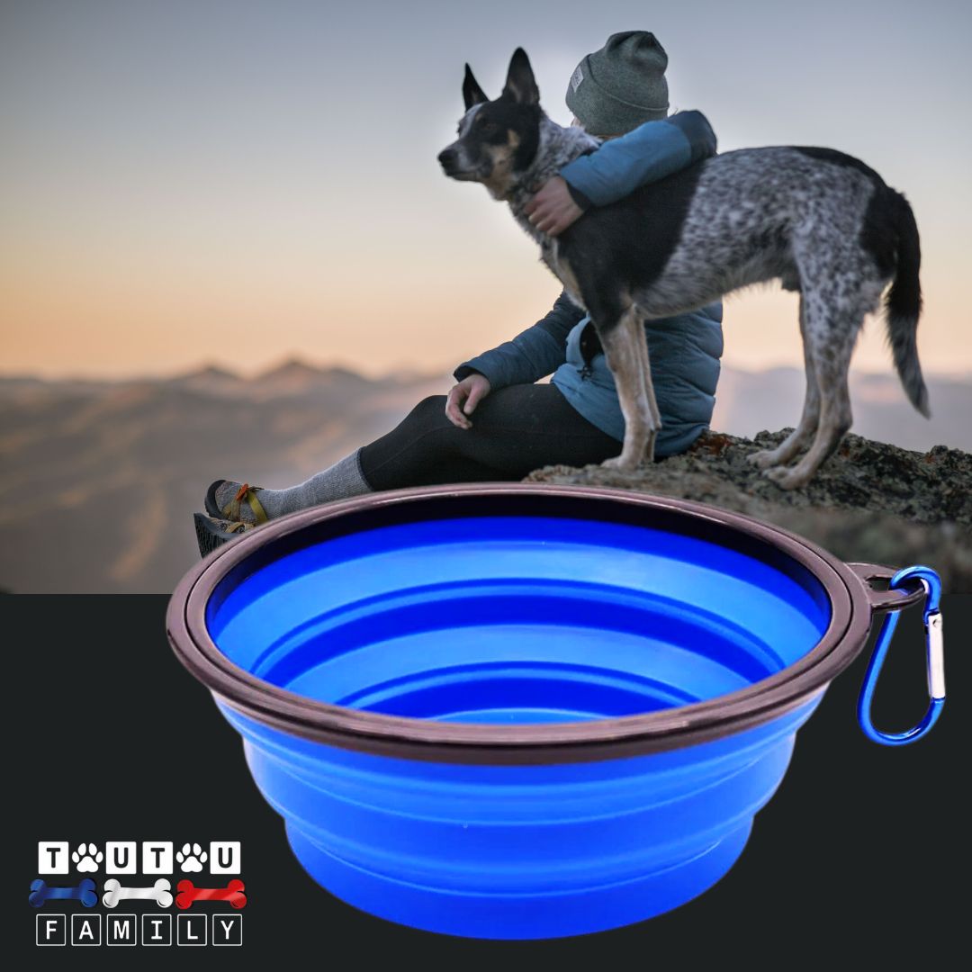 Gamelle-pliable-chien-avec-mousqueton-pour-voyage-silicone-bleu-gamelle-voyage-chien
