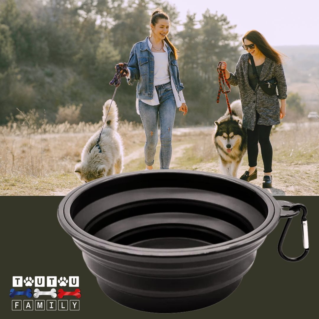 Gamelle-pliable-chien-avec-mousqueton-pour-voyage-silicone-noir-une-gamelle-de-voyage-chien