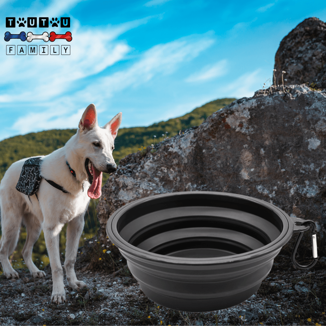 Gamelle pliable chien (lot de 2) - FlexToutou™