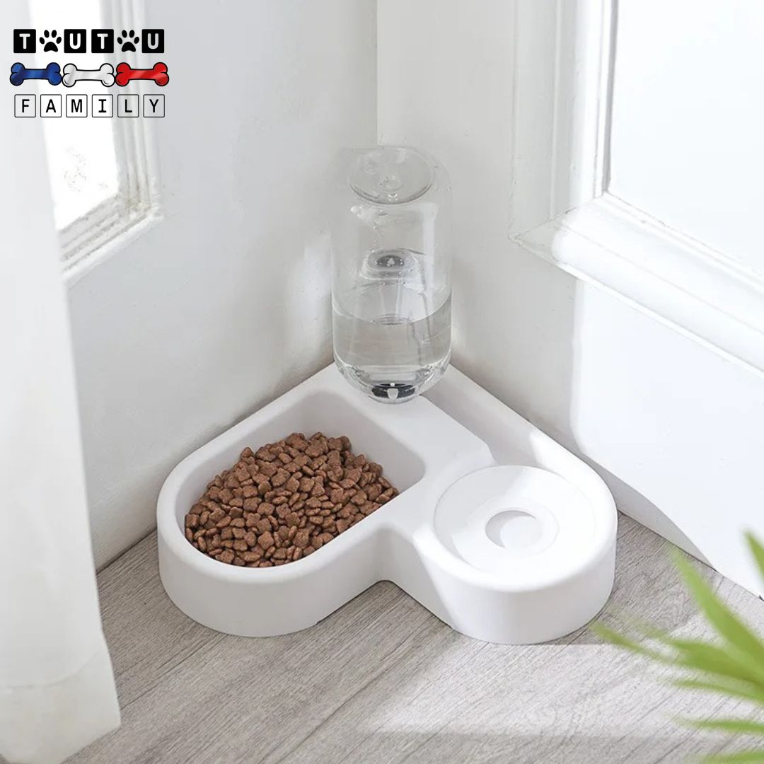 gamelle-pour-petit-chien-avec-distributeur-d-eau-gamelle-anti-éclaboussure-gamelle-pour-espace -réduit-appartement-pour-petit-chien-et-chiot
