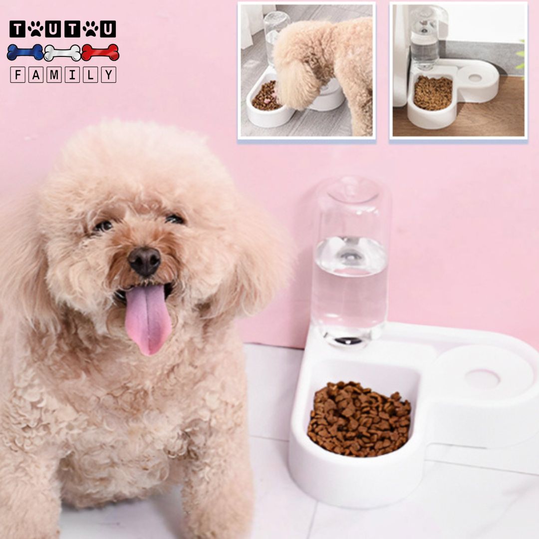 gamelle-pour-petit-chien-avec-distributeur-d-eau-gamelle-double-chiot-démontable-et-lavable-avec-protection-anti-éclaboussure