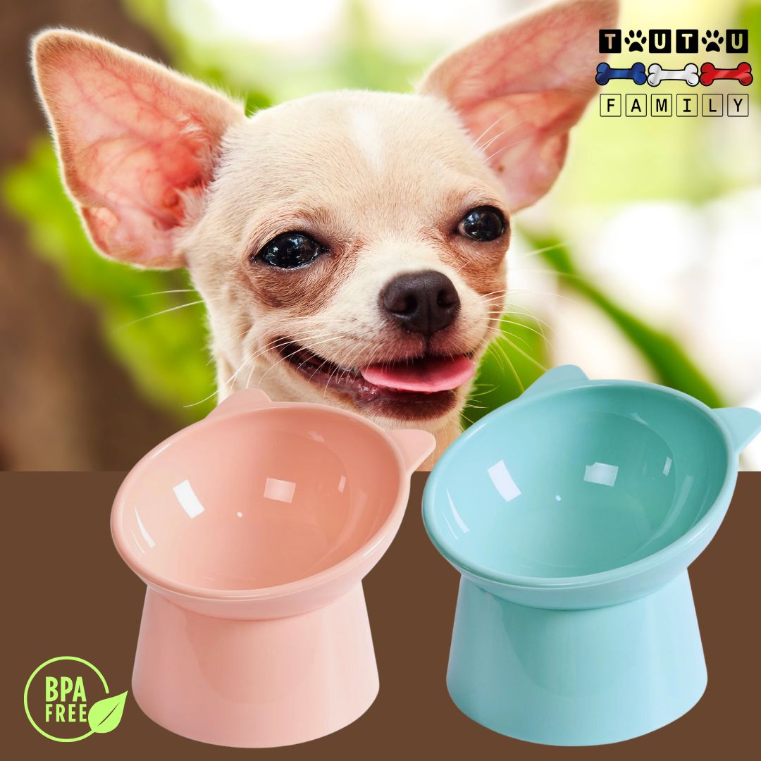 Gamelle-pour-petit-chien-2-gamelles-surelevees-rose-et-bleu-2-gamelles-hautes-ergonomique-sans-BPA