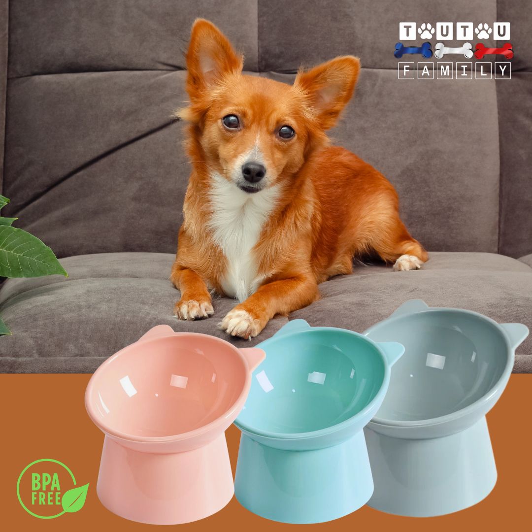 Gamelle-pour-petit-chien-3-gamelles-haute-bleu-gris-et-rose-lot-de-3-gamelles-surélevées-gamelle-chien-anti-éclaboussure-lavable-au-lave-vaisselle