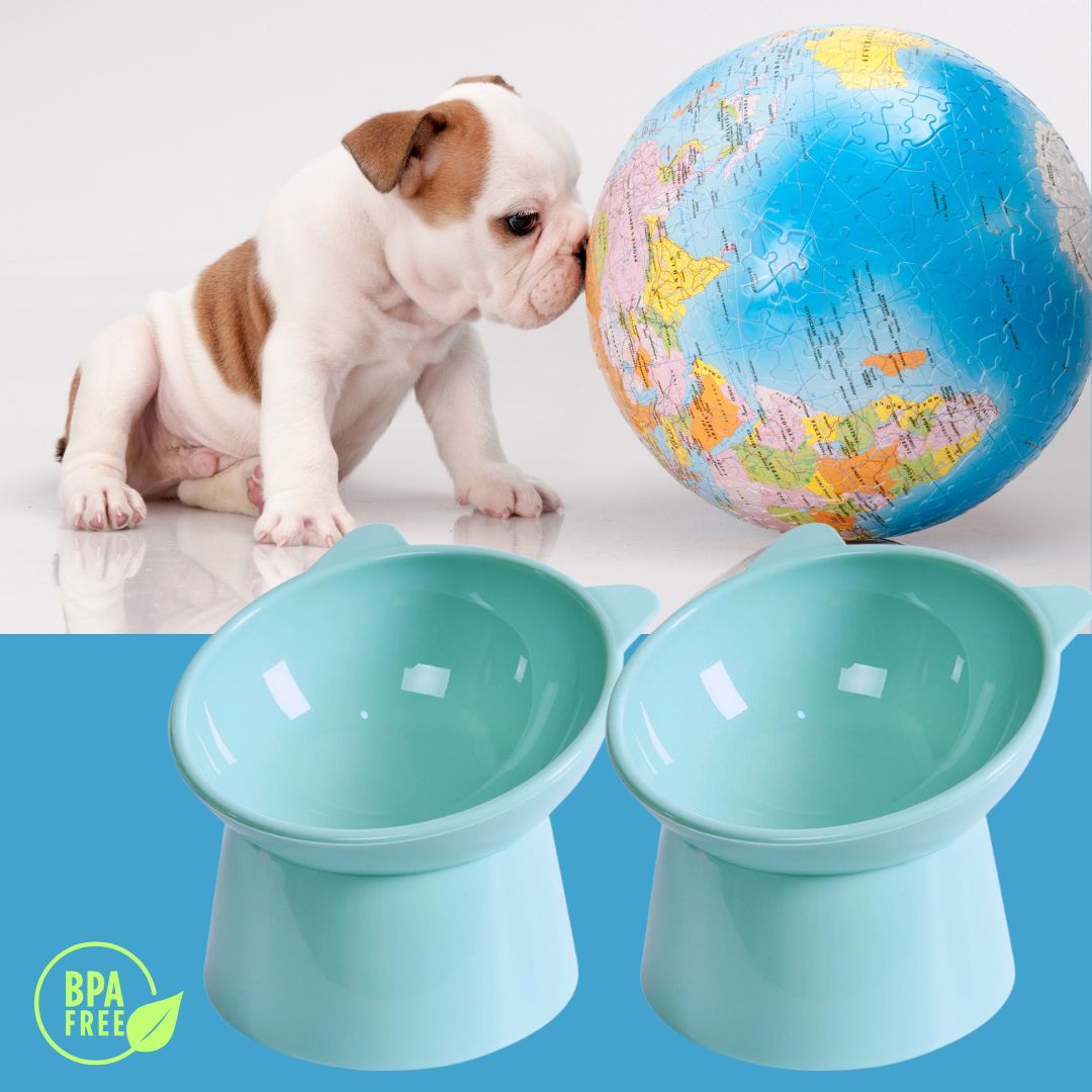 Gamelle-pour-petit-chien-2-gamelles-surélevées-bleues-pour-chiots-petits-chiens-chien-au-museau-plat-chien-toy