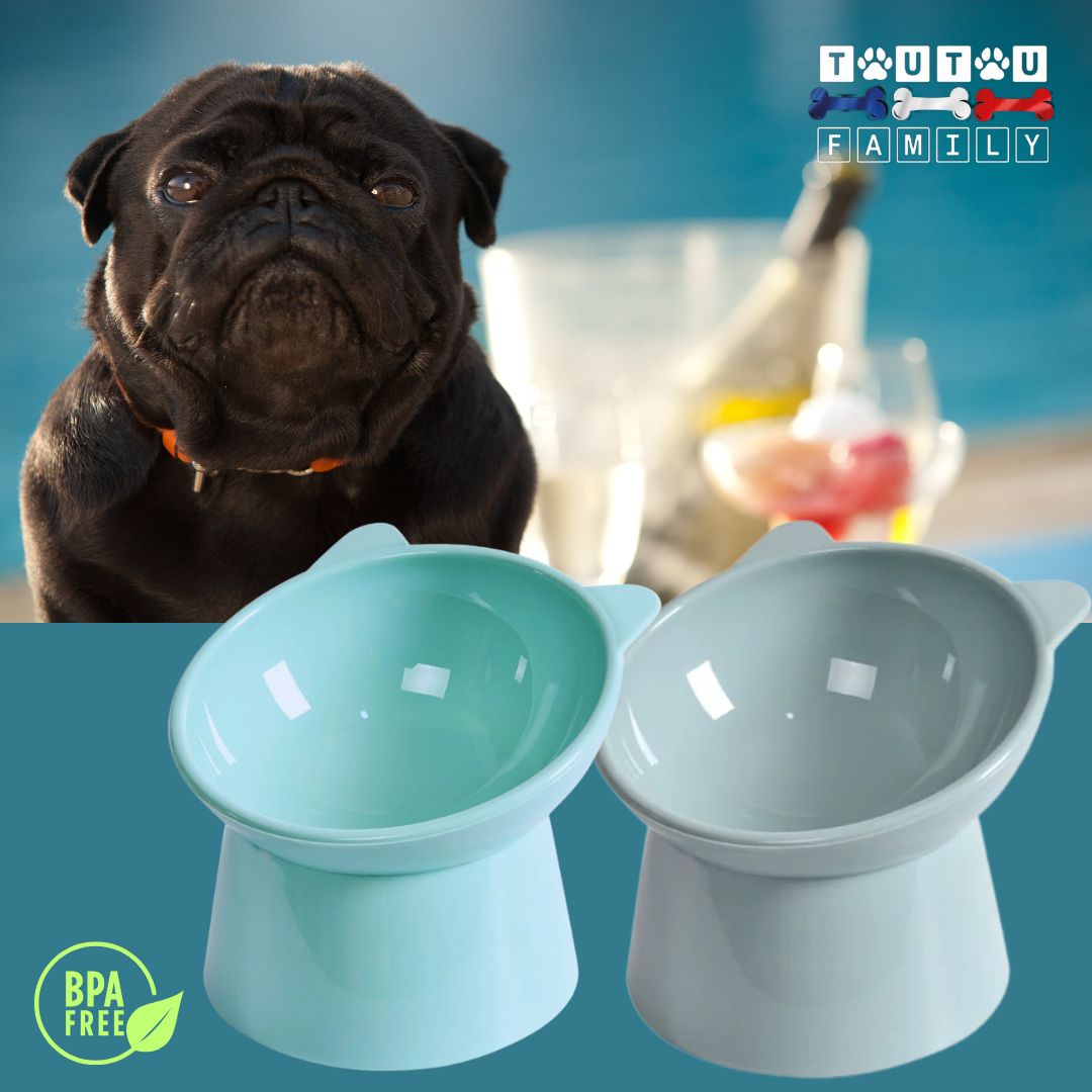 Gamelle-pour-petit-chien-2-gamelles-haute-bleu-et-gris-pour-petits-chiens-et-chiots-Ă -museau-plat-bouledogue-carlin