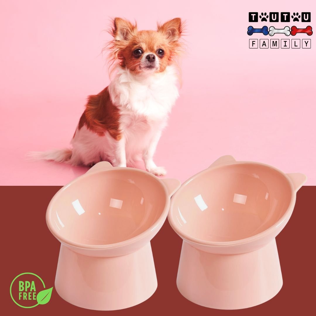Gamelle-pour-petits-chiens-lot-de-deux-gamelles-hautes-rose-gamelle-eau-anti-éclaboussure-avec-rebord-pour-sol-propre-gamelle-chien-design