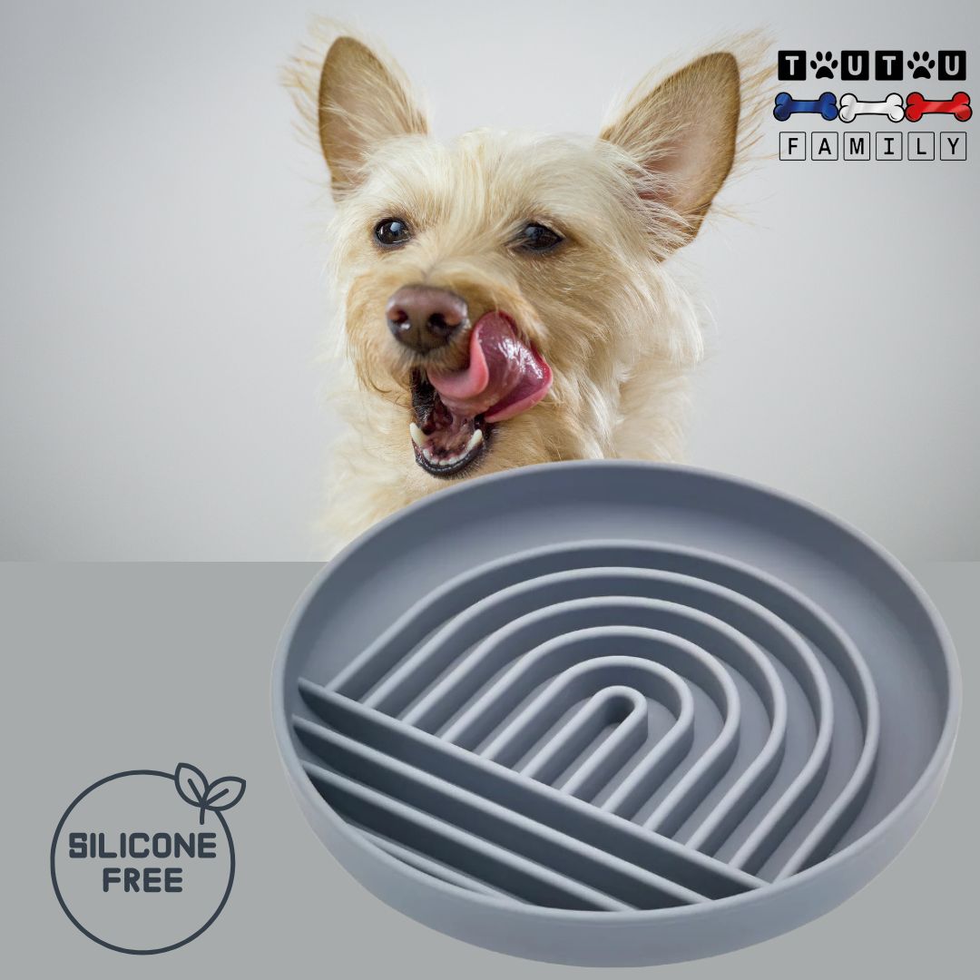 Gamelle-chien-anti-glouton-bleu-pastel-silicone-avec-ventouse-alimentation-lente