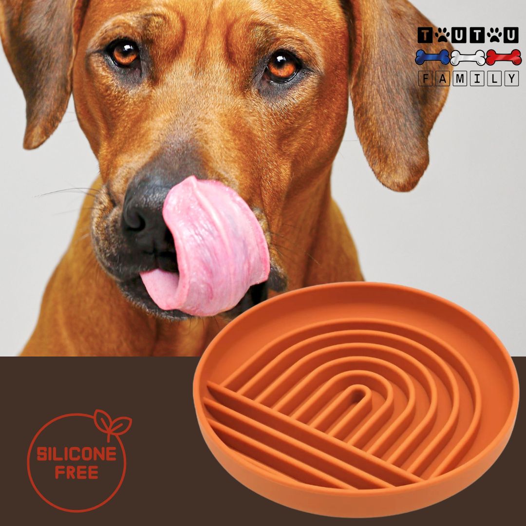 Gamelle-chien-anti-glouton-rouge-silicone-avec-ventouse-alimentation-lente