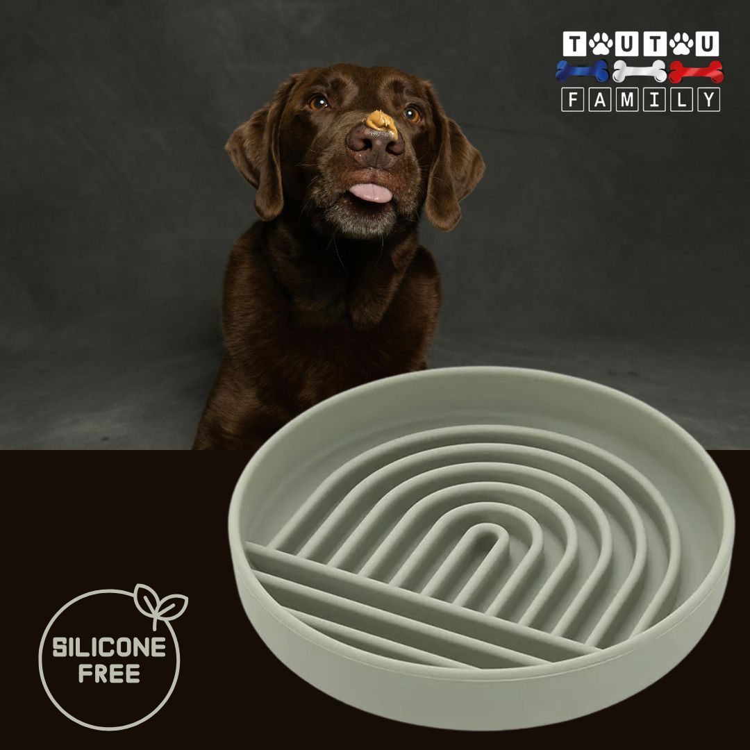 Gamelle-chien-anti-glouton-gris-silicone-avec-ventouse-un-labrador-avec-sa-gamelle-alimentation-lente