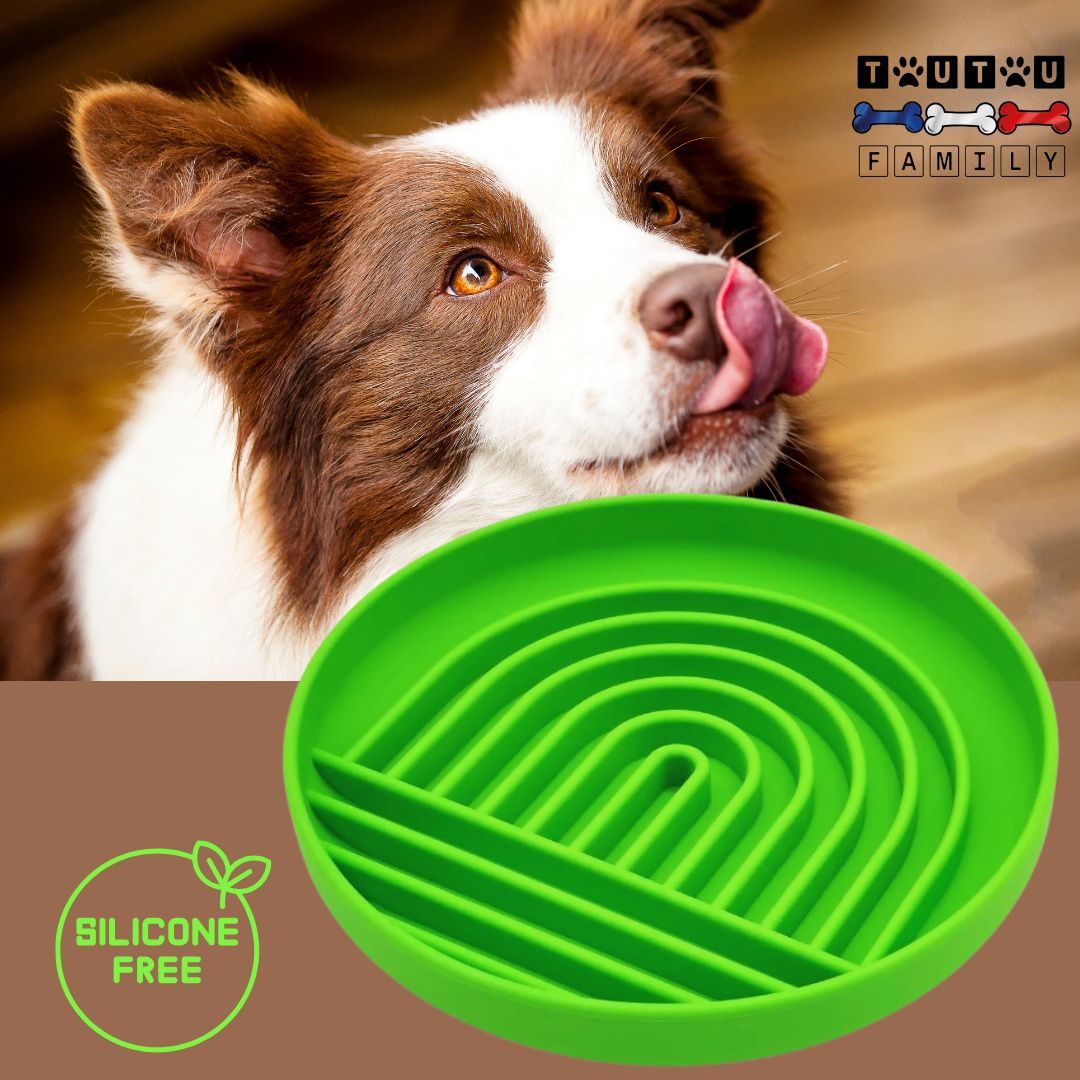 Gamelle-chien-anti-glouton-vert-silicone-avec-ventouse-lavable-au-lave-vaisselle