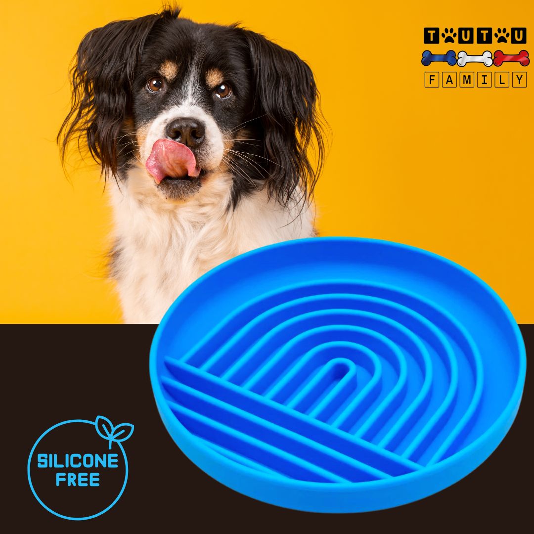 Gamelle-chien-anti-glouton-bleu-silicone-avec-ventouse-alimentation-lente