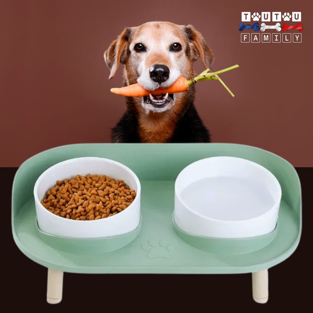 Gamelles-surelevees-pour-chien-support-gamelle-double-anti-renversement-vert-deux-hauteurs-réglable-2-gamelles-hautes-anti-renversement-en-fibre-de-bambou