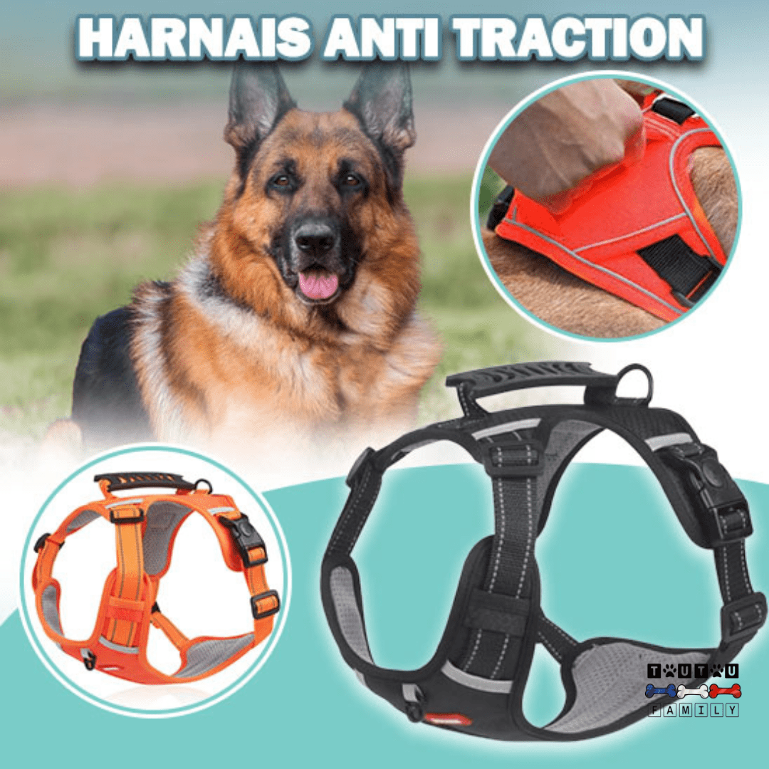 Harnais anti traction - ControlToutou™