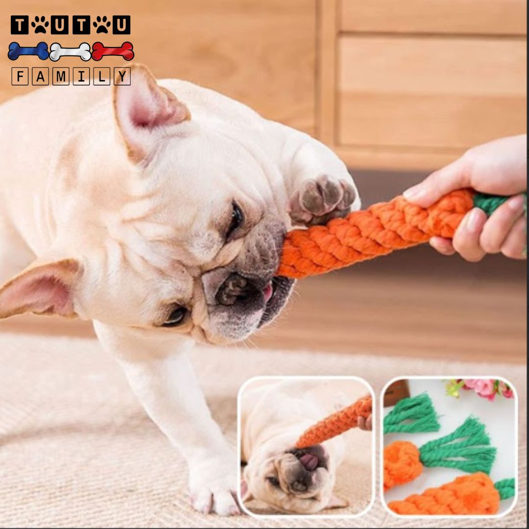 jouet-chien-carotte