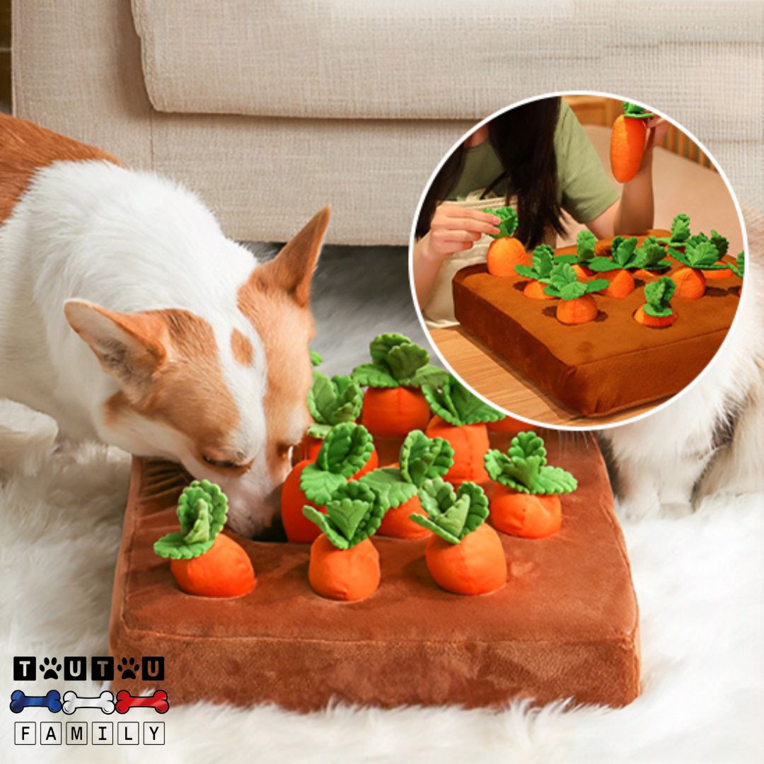 jouet-chien-intelligent