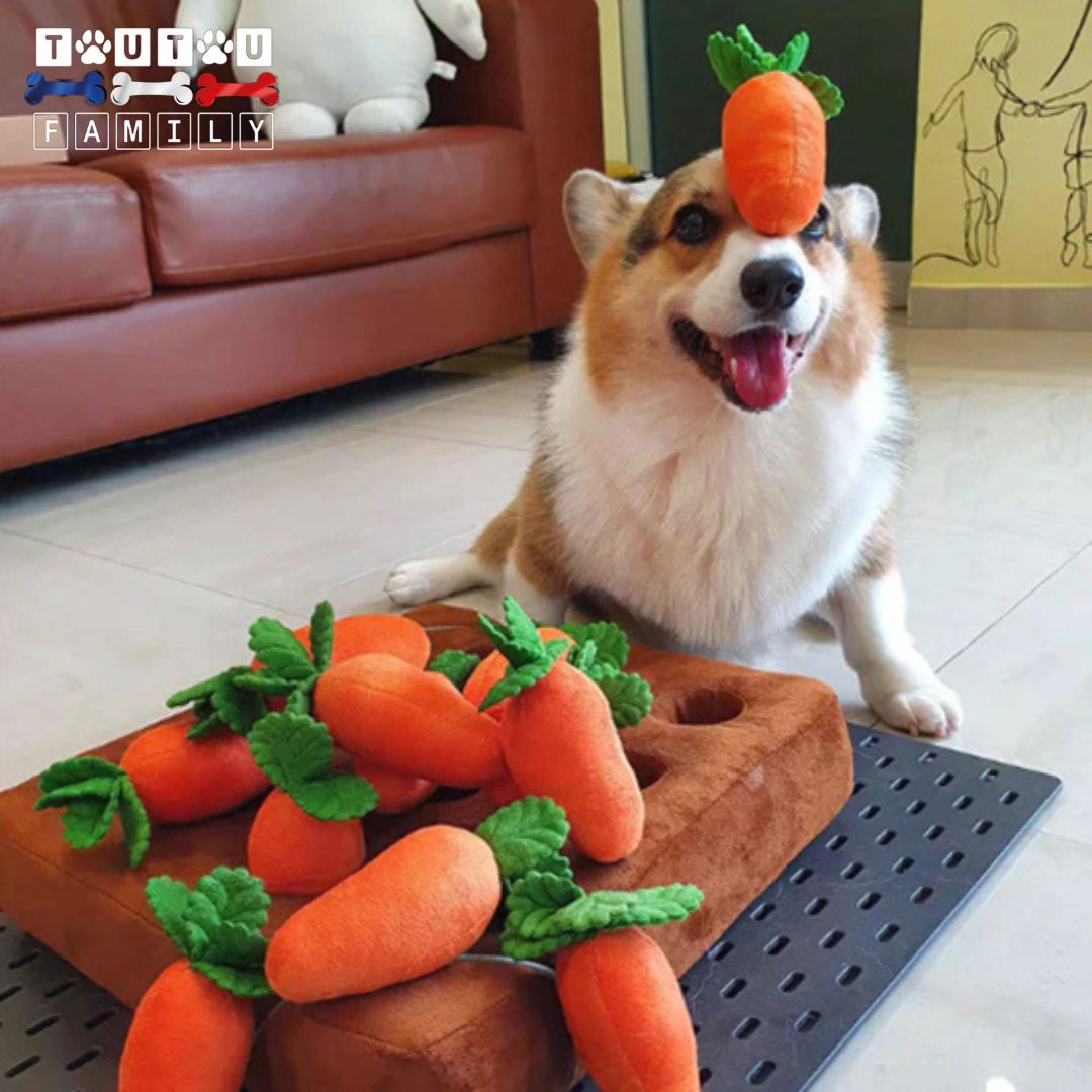 jouet-chien-peluche