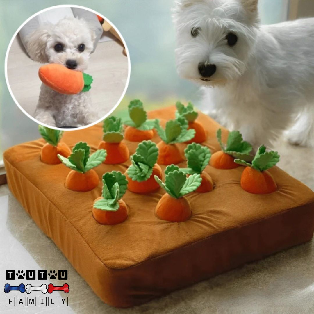 jouet-chien-anti-anxiete