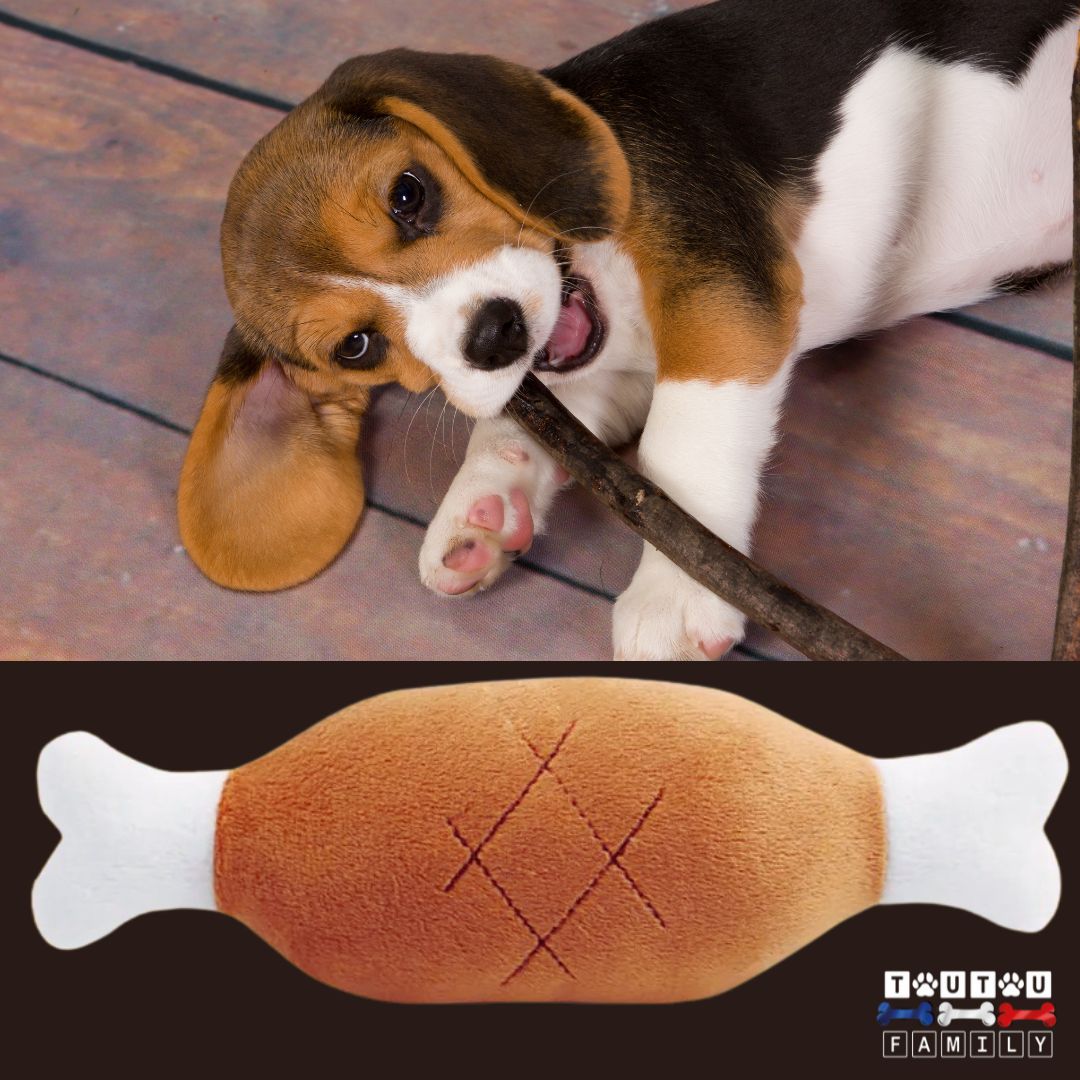 jouet-pour-chien-peluche