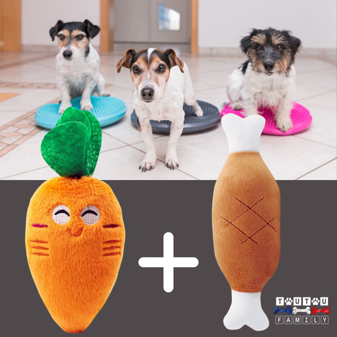 jouets-pour-chien