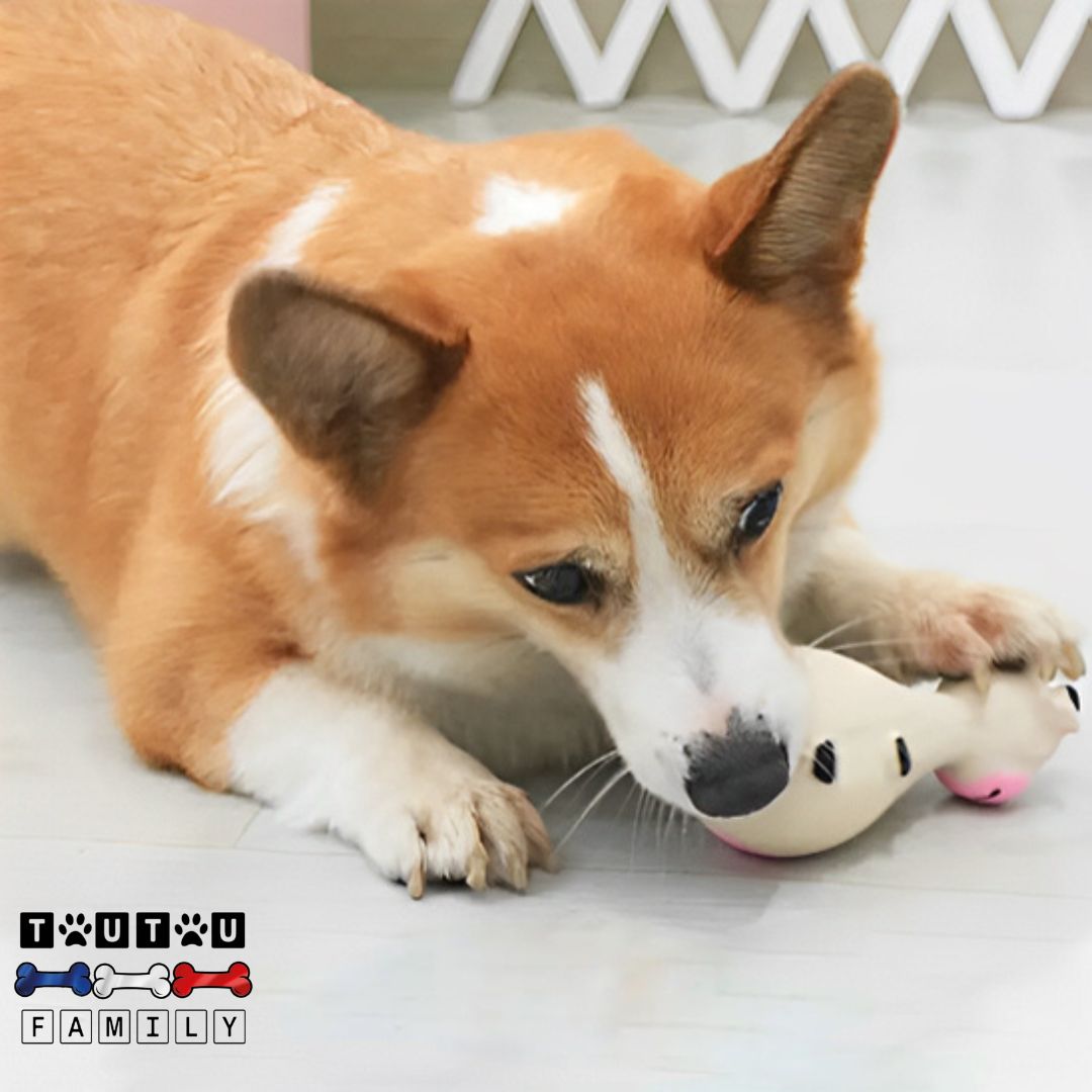 Jouet-chien-anti-stress-anxiété