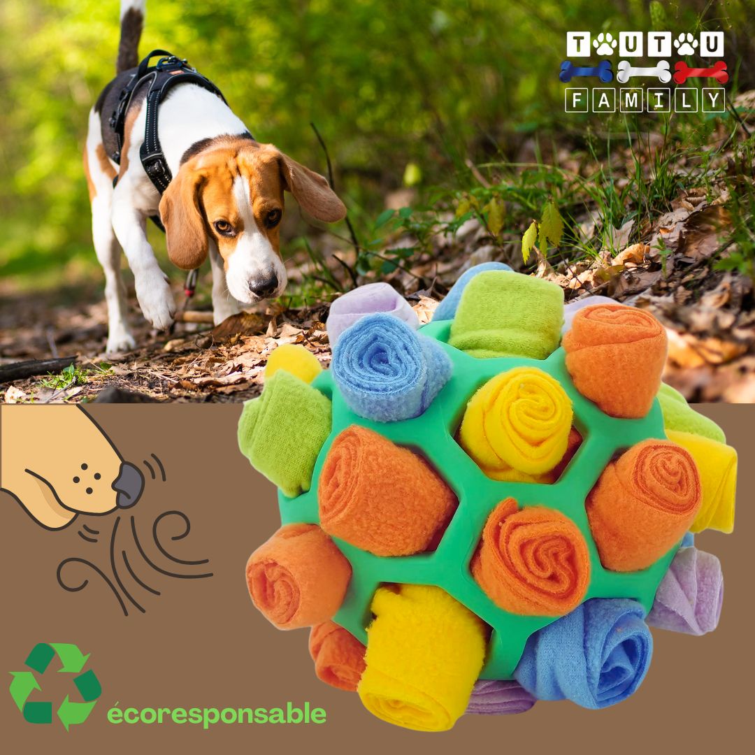 jouet-chien-balle-de-fouille-beagle