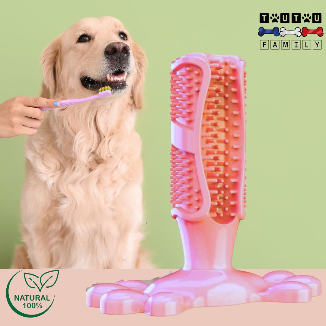jouet-chien-anti-tartre-rose